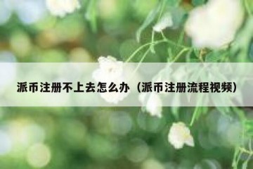 派币注册不上去怎么办（派币注册流程视频）
