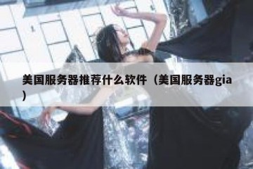 美国服务器推荐什么软件（美国服务器gia）