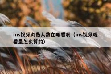 ins视频浏览人数在哪看啊（ins视频观看量怎么算的）