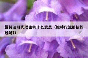 推特注册代理主机什么意思（推特代注册信的过吗?）