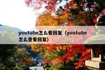 youtube怎么看回复（youtube怎么查看回复）