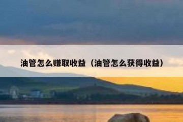 油管怎么赚取收益（油管怎么获得收益）