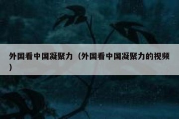 外国看中国凝聚力（外国看中国凝聚力的视频）