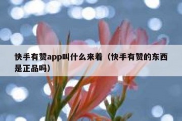 快手有赞app叫什么来着（快手有赞的东西是正品吗）
