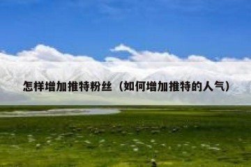 怎样增加推特粉丝（如何增加推特的人气）