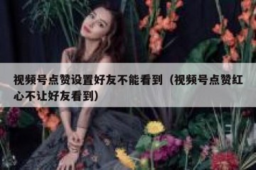 视频号点赞设置好友不能看到（视频号点赞红心不让好友看到）