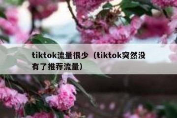 tiktok流量很少（tiktok突然没有了推荐流量）