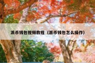 派币钱包视频教程（派币钱包怎么操作）