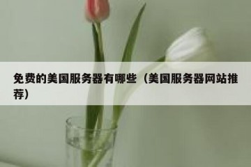 免费的美国服务器有哪些（美国服务器网站推荐）