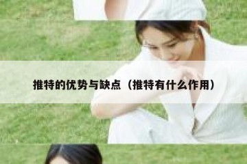 推特的优势与缺点（推特有什么作用）