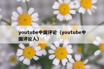 youtube中国评论（youtube中国评论人）