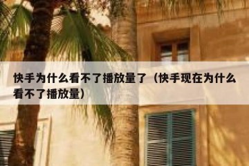 快手为什么看不了播放量了（快手现在为什么看不了播放量）