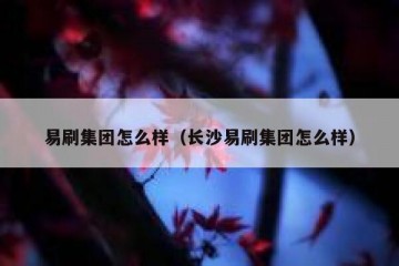 易刷集团怎么样（长沙易刷集团怎么样）