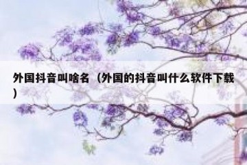 外国抖音叫啥名（外国的抖音叫什么软件下载）