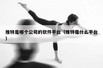 推特是哪个公司的软件平台（推特是什么平台）