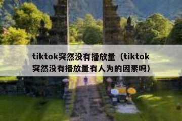 tiktok突然没有播放量（tiktok突然没有播放量有人为的因素吗）