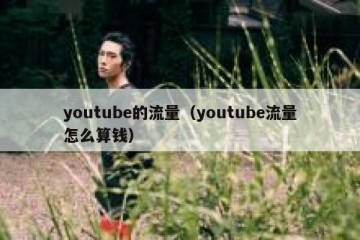 youtube的流量（youtube流量怎么算钱）