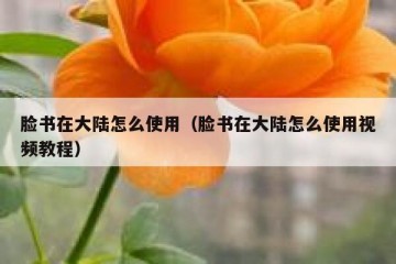 脸书在大陆怎么使用（脸书在大陆怎么使用视频教程）