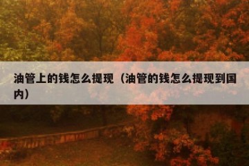 油管上的钱怎么提现（油管的钱怎么提现到国内）