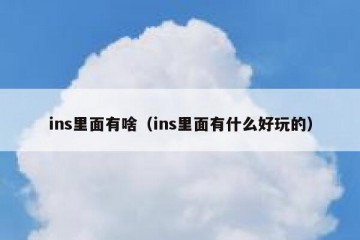 ins里面有啥（ins里面有什么好玩的）