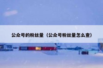 公众号的粉丝量（公众号粉丝量怎么查）