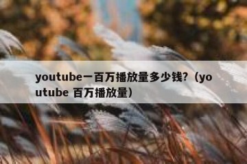 youtube一百万播放量多少钱?（youtube 百万播放量）