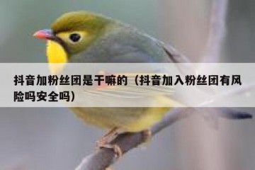 抖音加粉丝团是干嘛的（抖音加入粉丝团有风险吗安全吗）