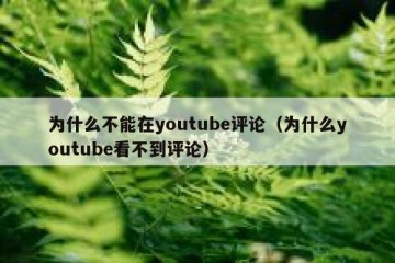 为什么不能在youtube评论（为什么youtube看不到评论）