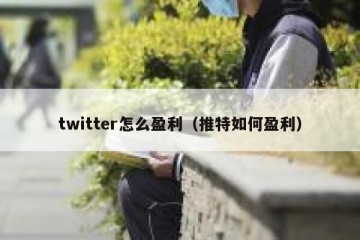 twitter怎么盈利（推特如何盈利）