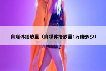 自媒体播放量（自媒体播放量1万赚多少）