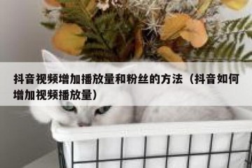 抖音视频增加播放量和粉丝的方法（抖音如何增加视频播放量）