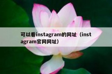 可以看instagram的网址（instagram官网网址）