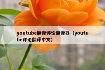 youtube翻译评论翻译器（youtube评论翻译中文）