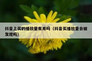 抖音上买的播放量有用吗（抖音买播放量会被发现吗）