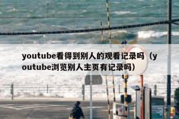 youtube看得到别人的观看记录吗（youtube浏览别人主页有记录吗）