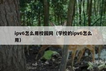 ipv6怎么用校园网（学校的ipv6怎么用）
