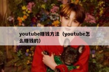 youtube赚钱方法（youtube怎么赚钱的）