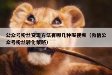 公众号粉丝变现方法有哪几种呢视频（微信公众号粉丝转化策略）