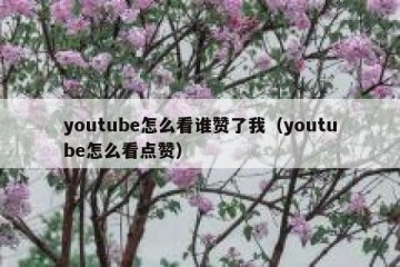 youtube怎么看谁赞了我（youtube怎么看点赞）