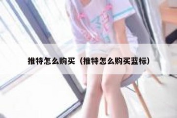 推特怎么购买（推特怎么购买蓝标）