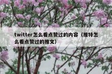twitter怎么看点赞过的内容（推特怎么看点赞过的推文）