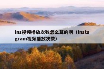 ins视频播放次数怎么算的啊（instagram视频播放次数）