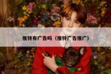 推特有广告吗（推特广告推广）