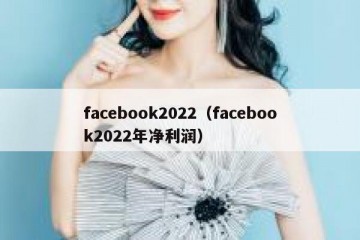 facebook2022（facebook2022年净利润）
