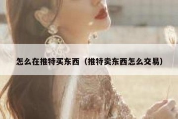 怎么在推特买东西（推特卖东西怎么交易）