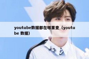 youtube数据都在哪里查（youtube 数据）