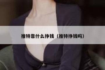 推特靠什么挣钱（推特挣钱吗）
