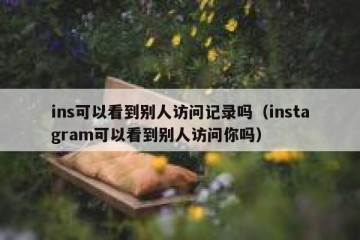 ins可以看到别人访问记录吗（instagram可以看到别人访问你吗）