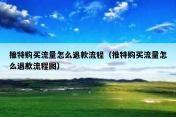 推特购买流量怎么退款流程（推特购买流量怎么退款流程图）