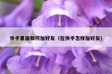 快手里面如何加好友（在快手怎样加好友）